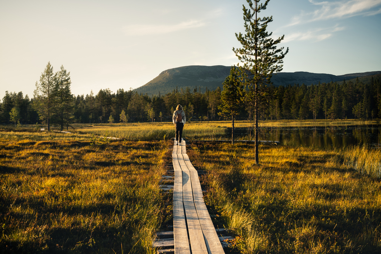 Vue arrière d’une femme marchant sur un chemin en bois au bord d’un lac au milieu des bois